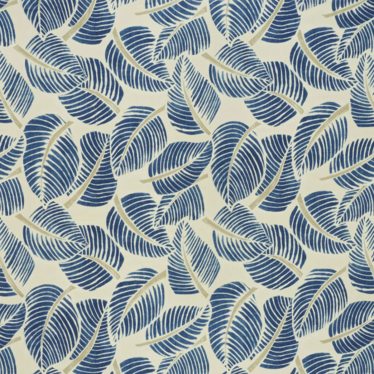 COSTA RICA_ INDIGO