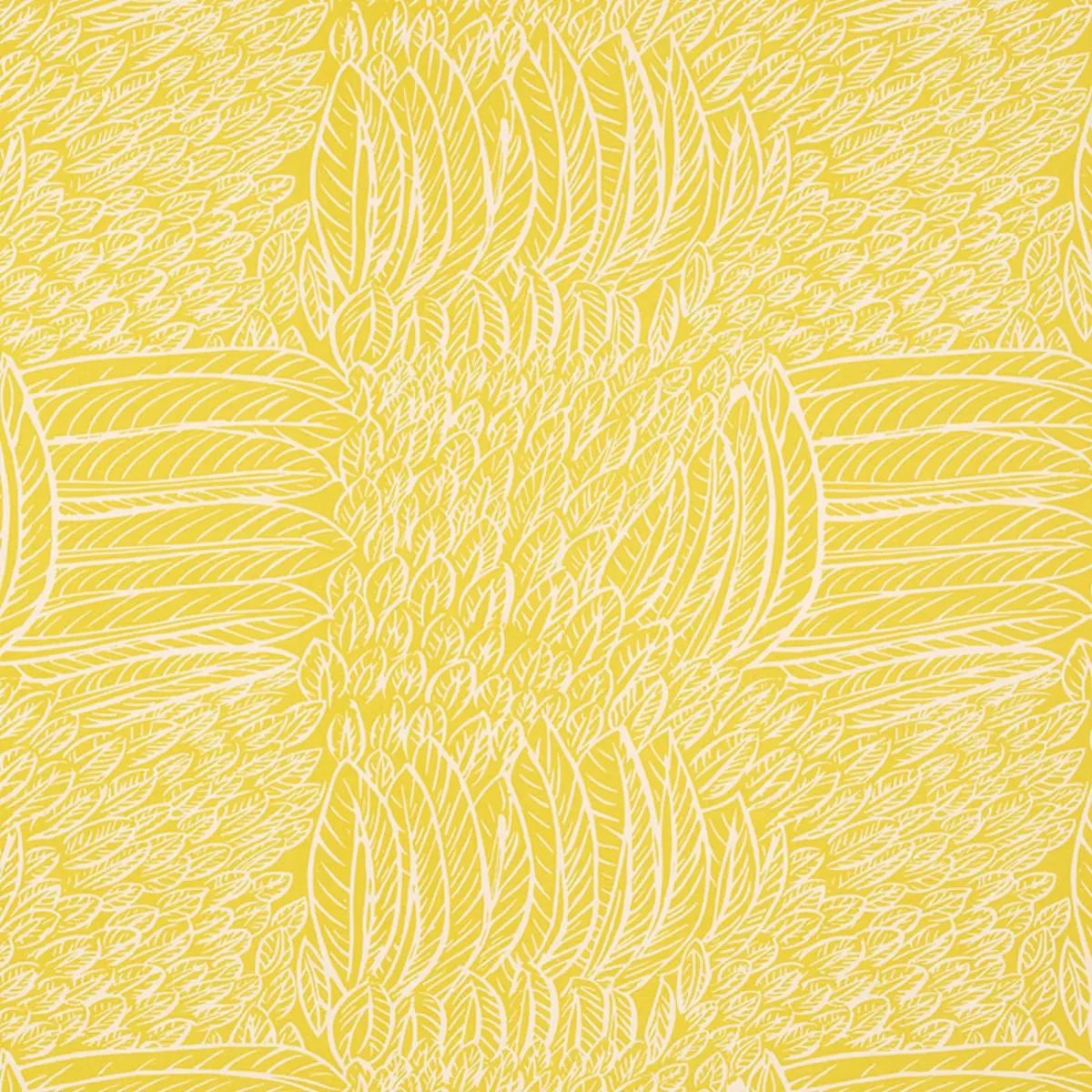 FEATHERFEST_ CITRON
