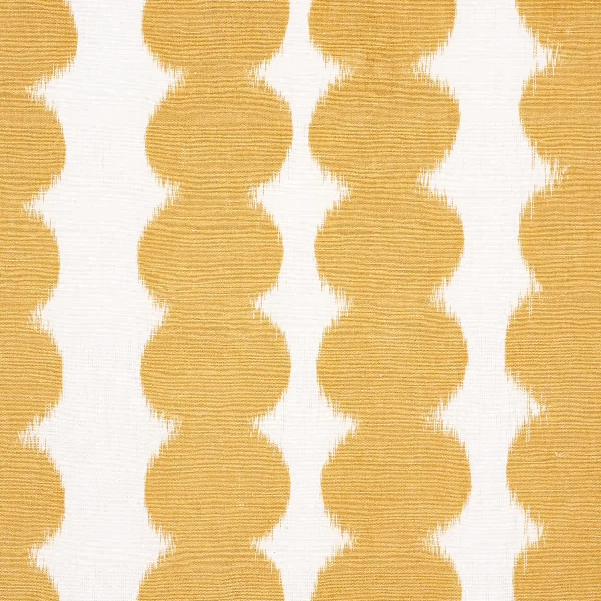 FULL CIRCLE_ SAFFRON
