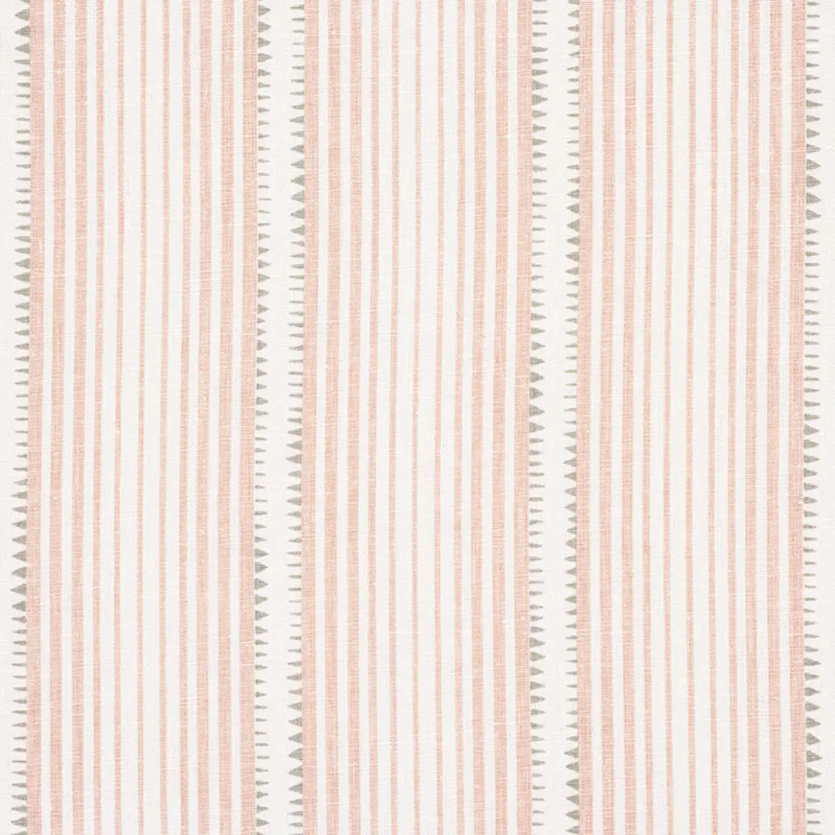 MONCORVO_ BLUSH