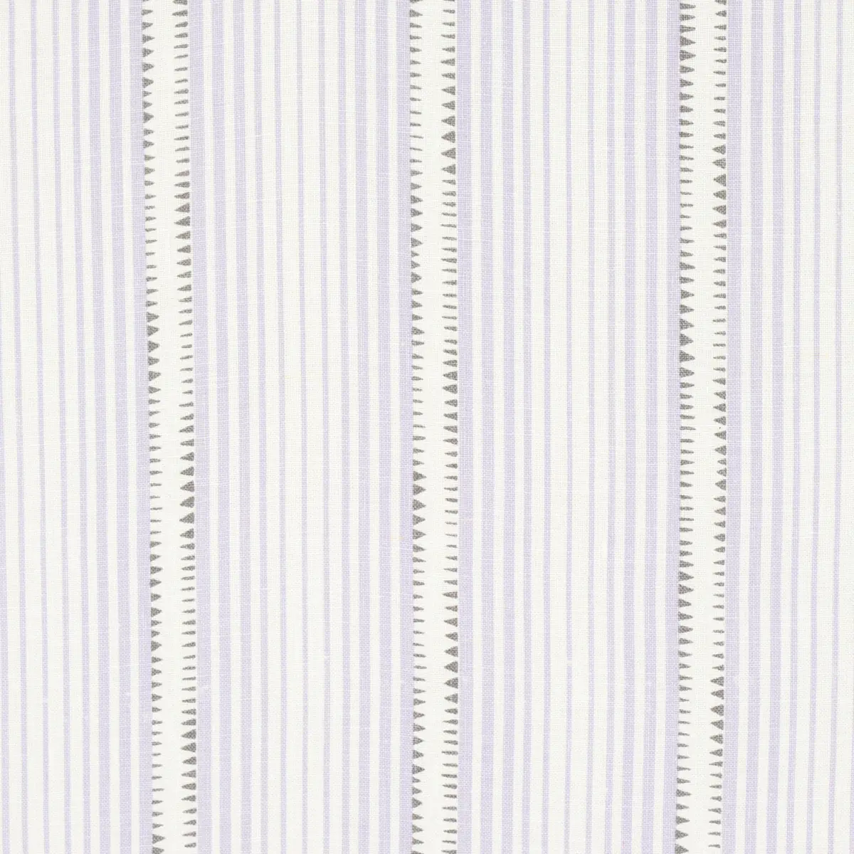 MONCORVO_ LILAC