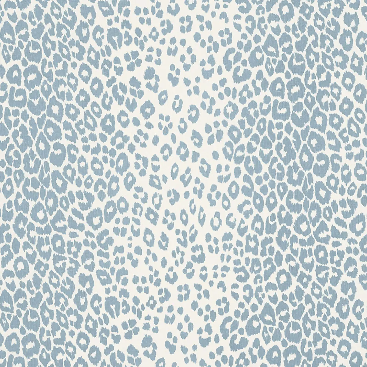 ICONIC LEOPARD_ SKY