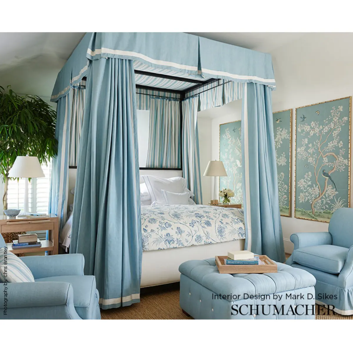 Chinoiserie Vine_ COBALT