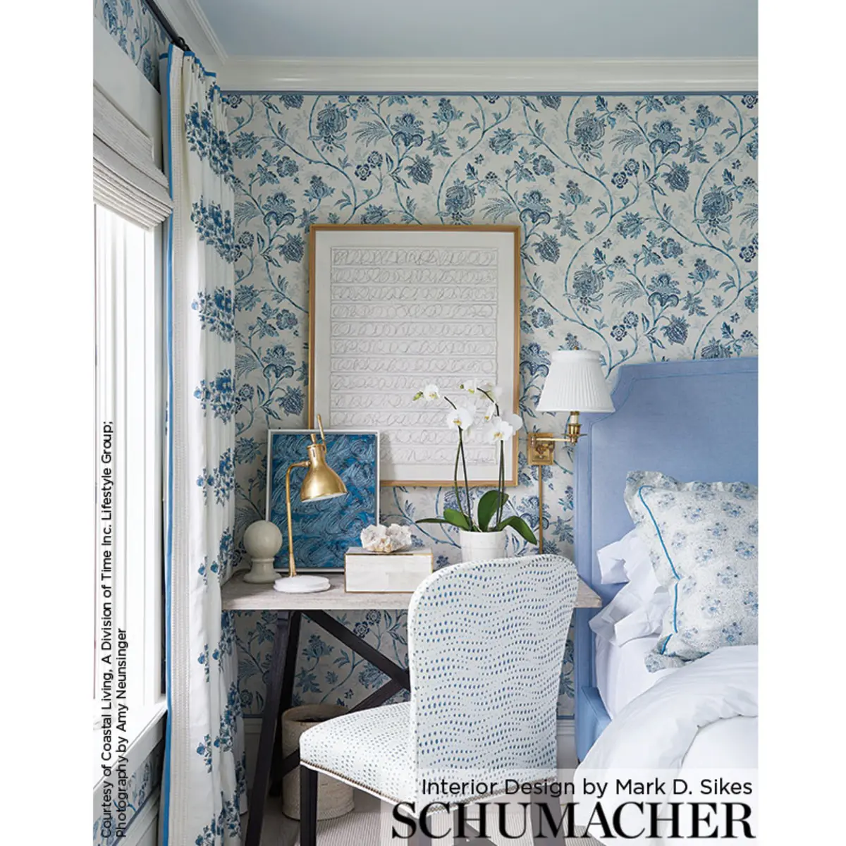 Chinoiserie Vine_ COBALT