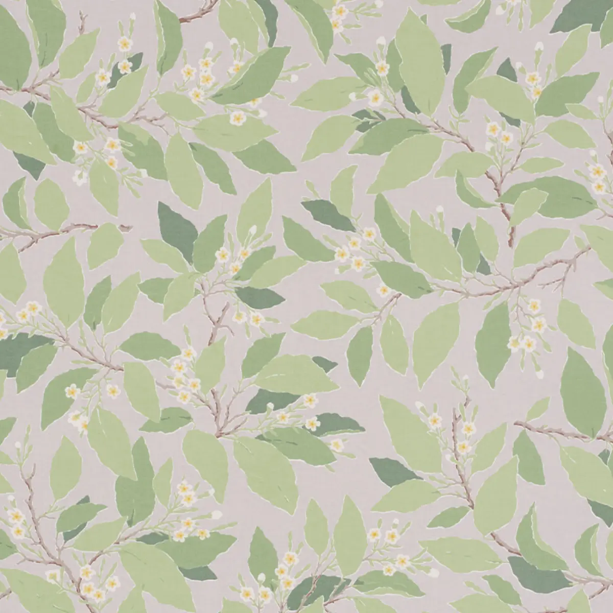 DOGWOOD LEAF_ GRISAILLE