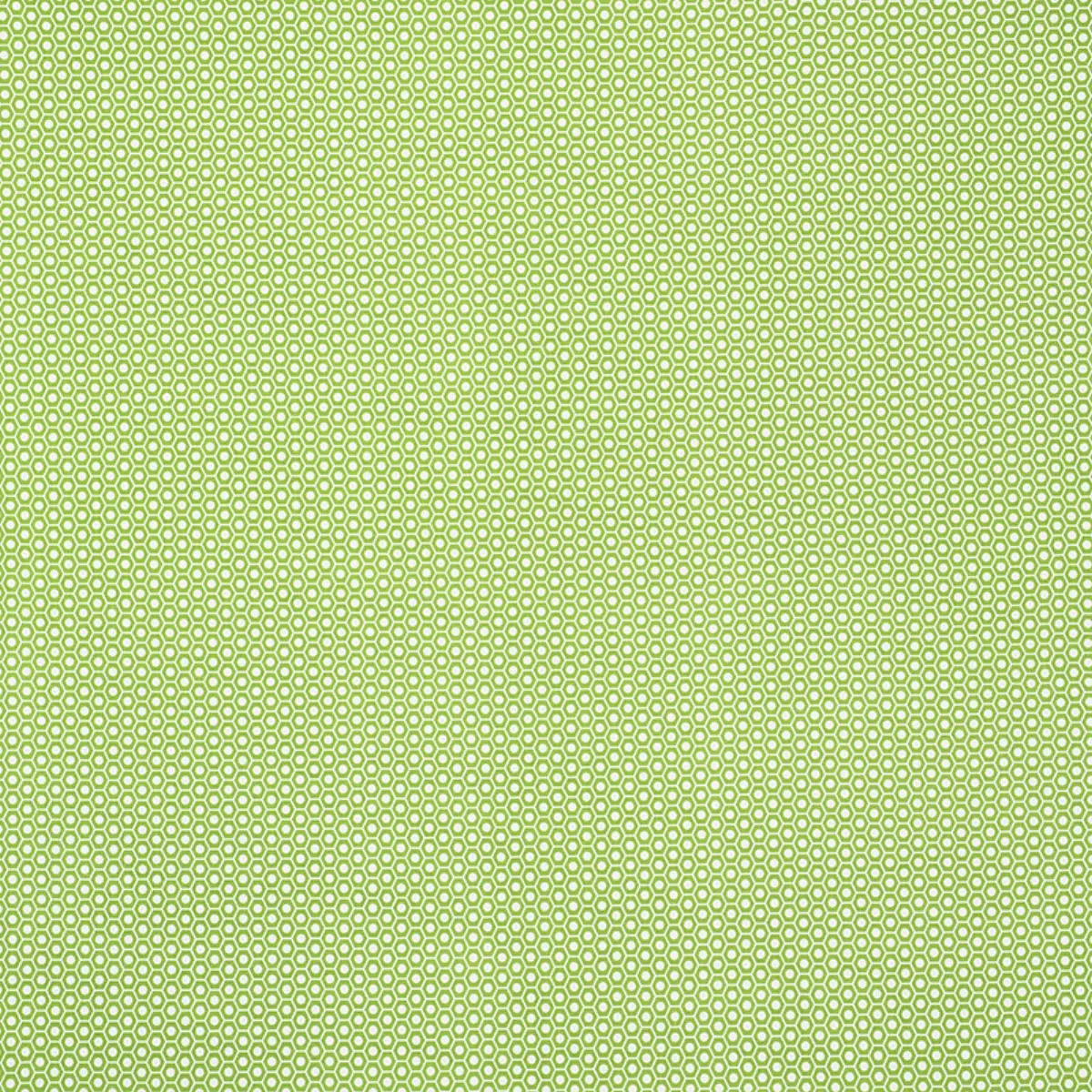 QUEEN B II INDOOR/OUTDOOR_ GREEN