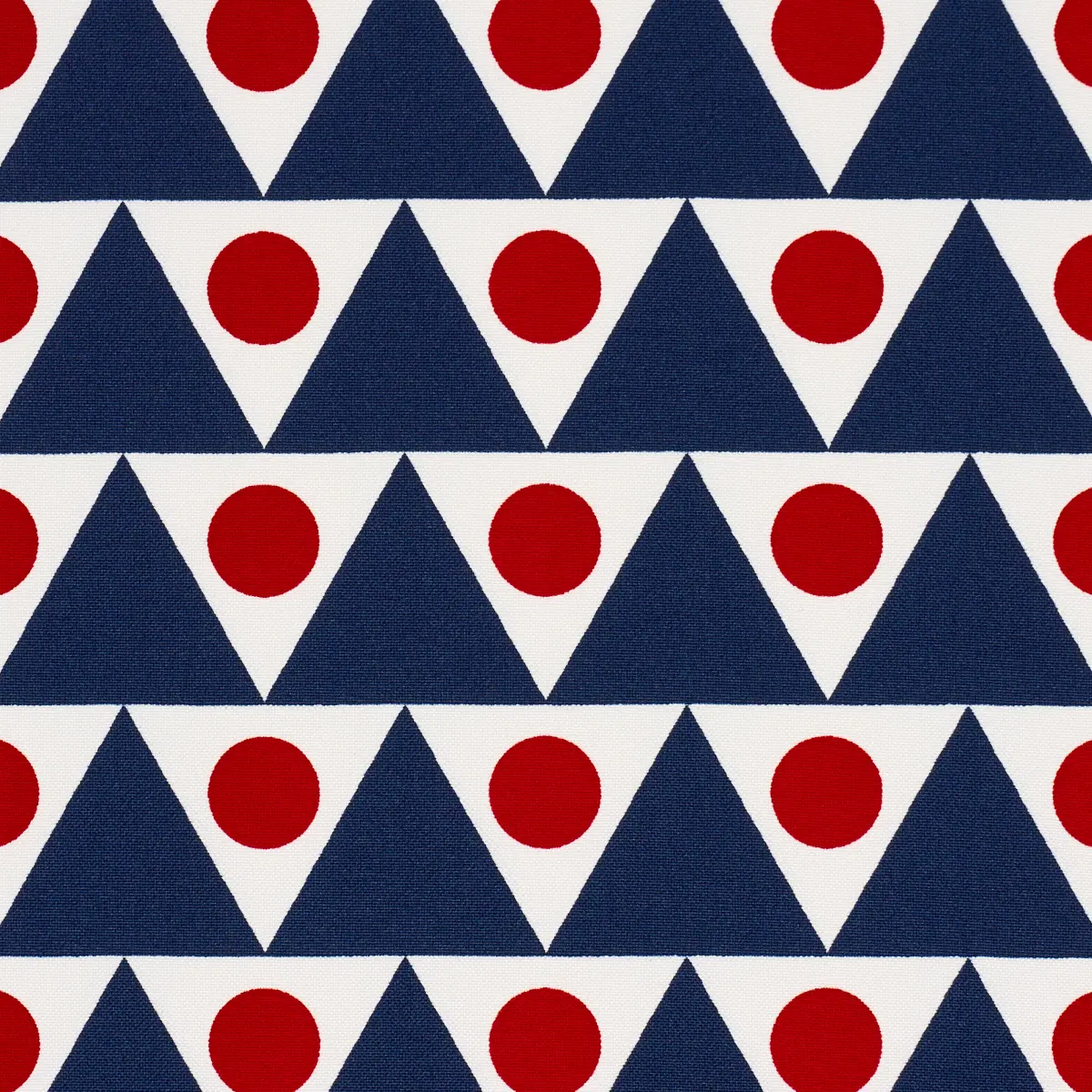 PENNANT II INDOOR/OUTDOOR_ NAVY & RED