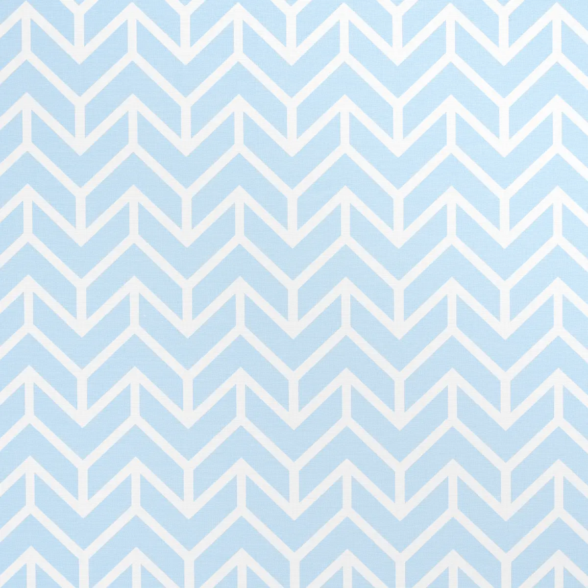 CHEVRON INDOOR/OUTDOOR_ SKY