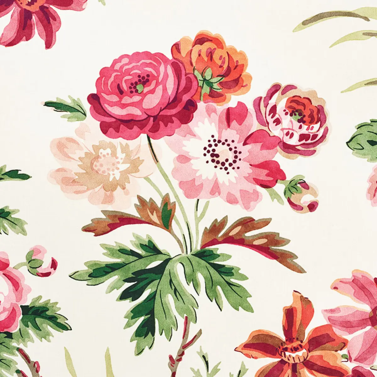CECIL CHINTZ_ ROSE