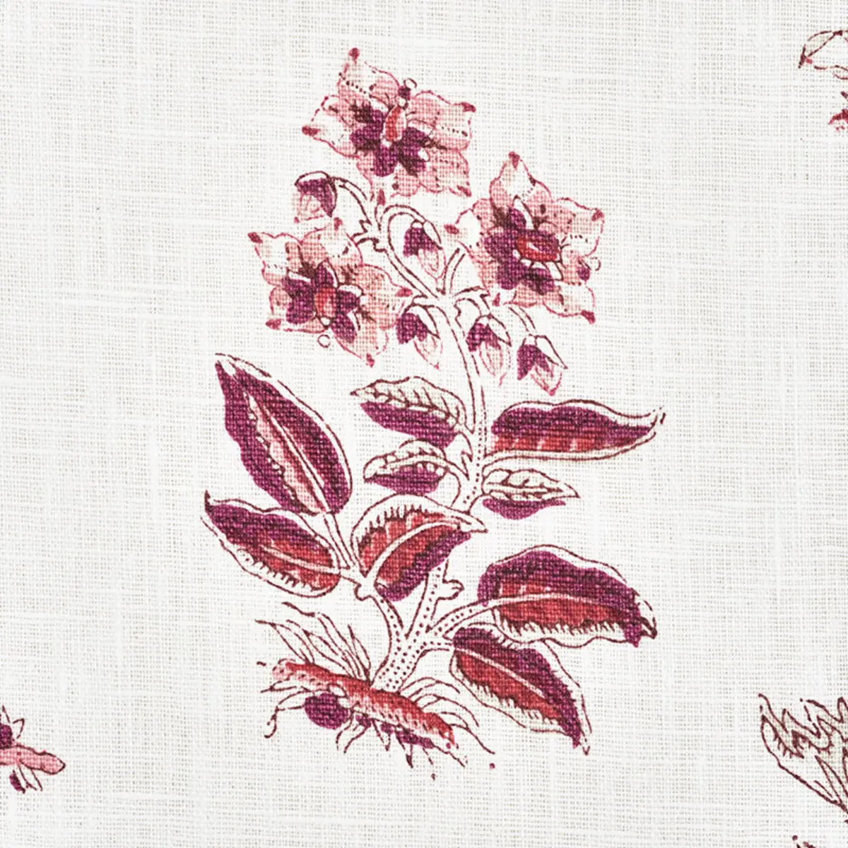 BUNNY_ AUBERGINE