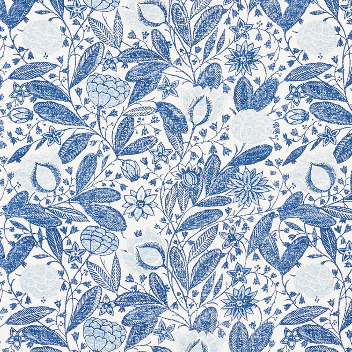 GLORIA_ DELFT