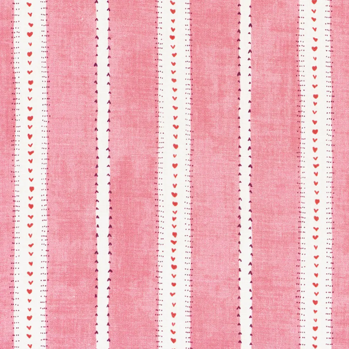 AMOUR_ RASPBERRY