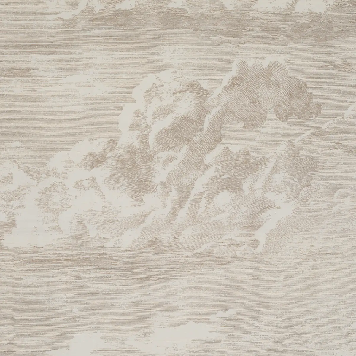 CLOUD TOILE_ CHAMPAGNE