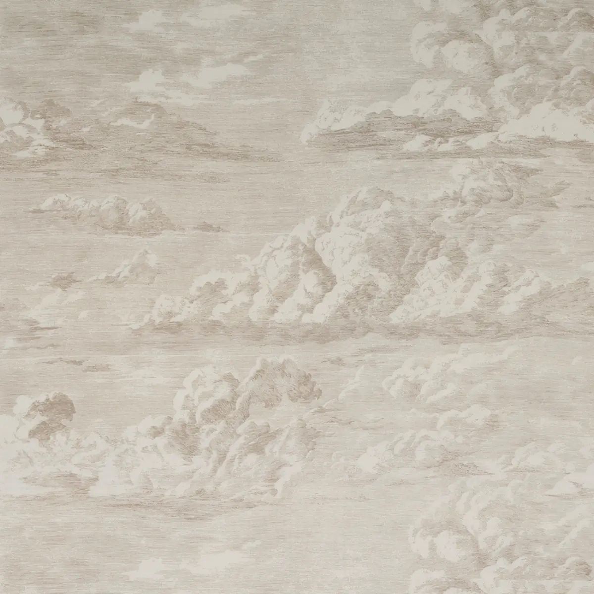 CLOUD TOILE_ CHAMPAGNE