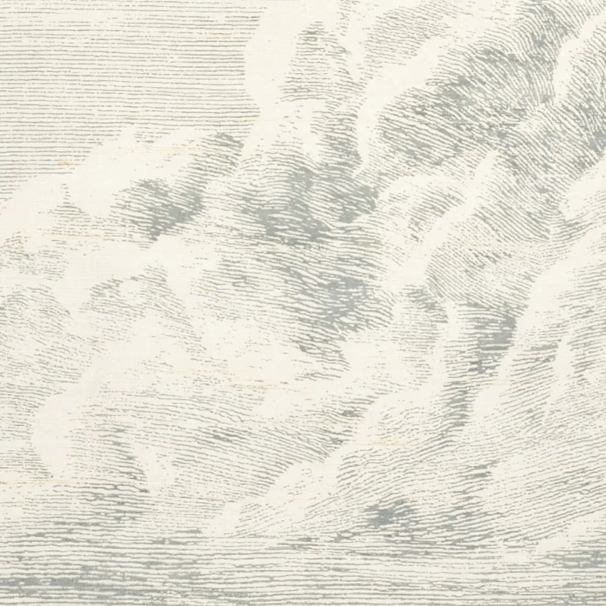 CLOUD TOILE_ DELFT