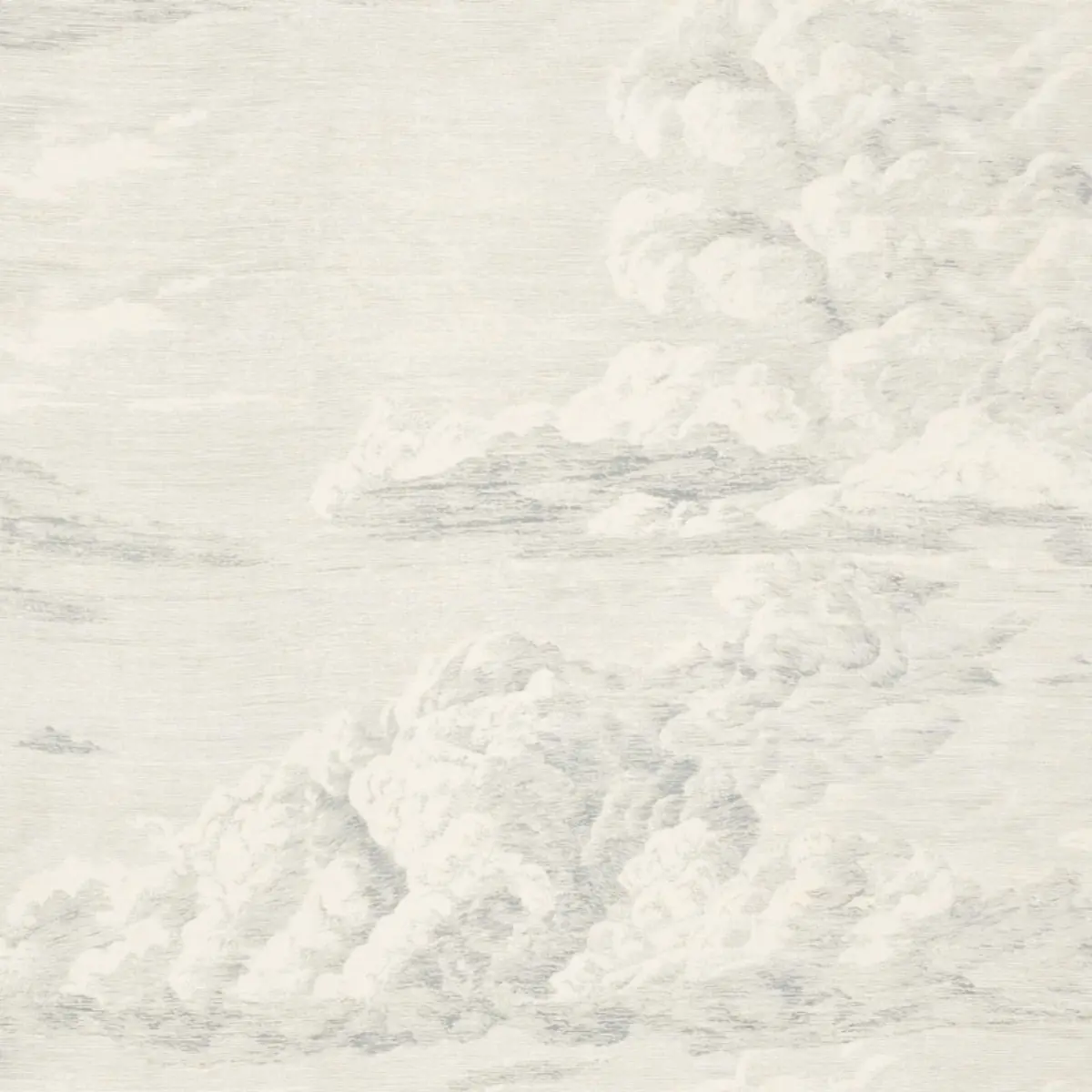 CLOUD TOILE_ DELFT