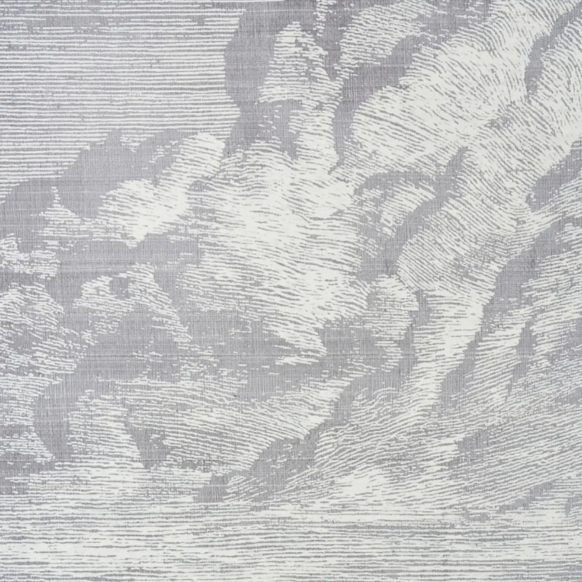 CLOUD TOILE_ FOG
