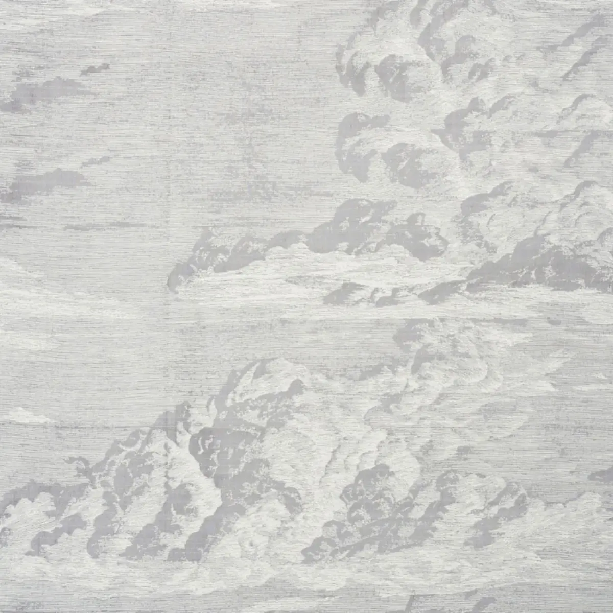 CLOUD TOILE_ FOG