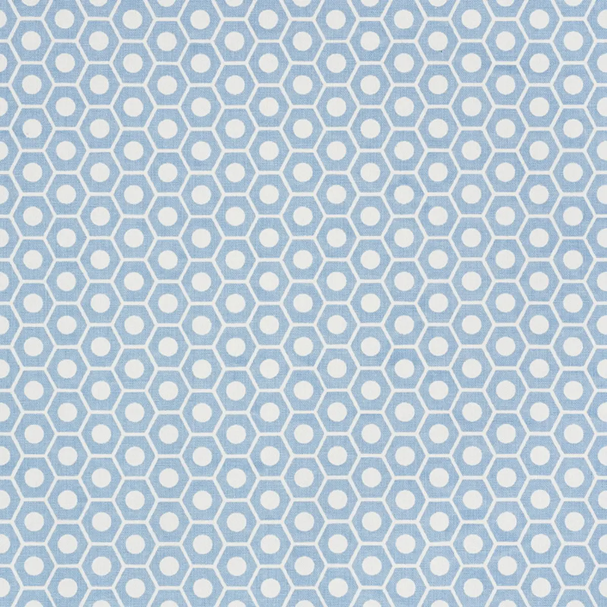 QUEEN B_ CHAMBRAY