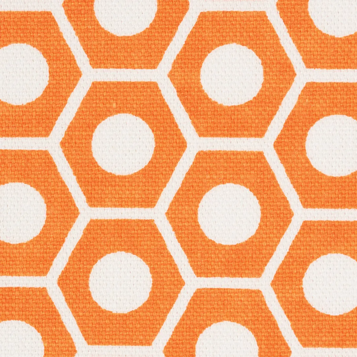 QUEEN B_ ORANGE