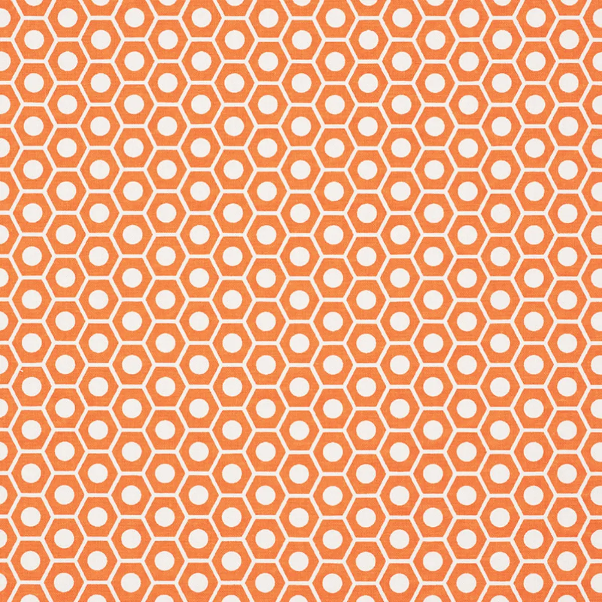 QUEEN B_ ORANGE