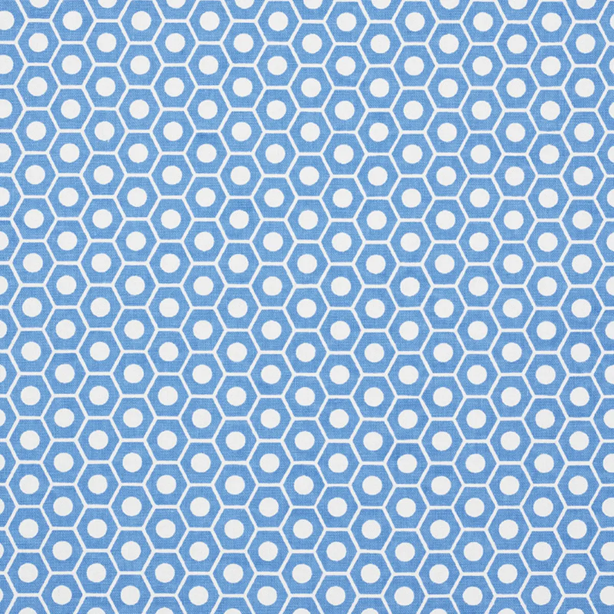 QUEEN B_ FRENCH BLUE