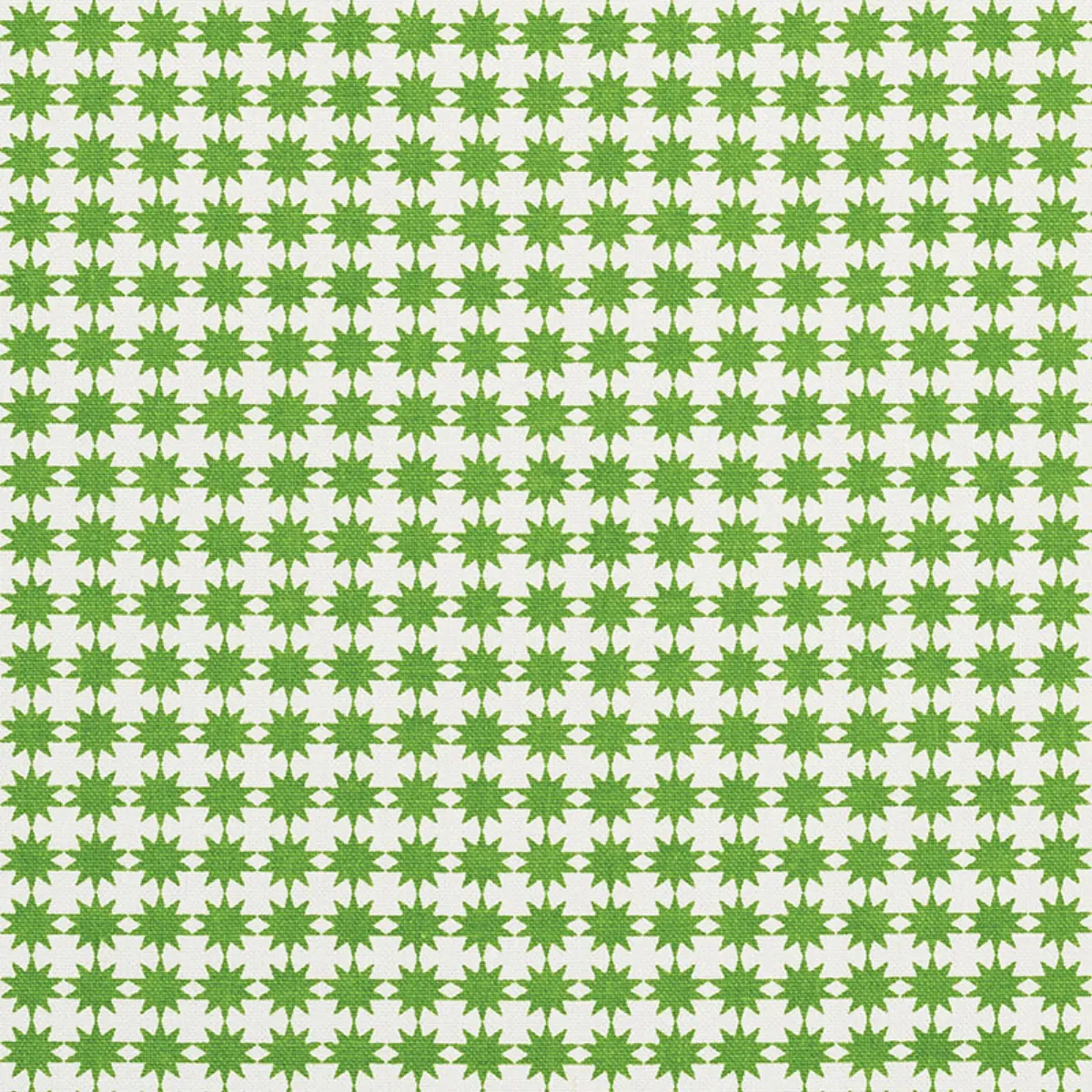 STELLA_ GREEN