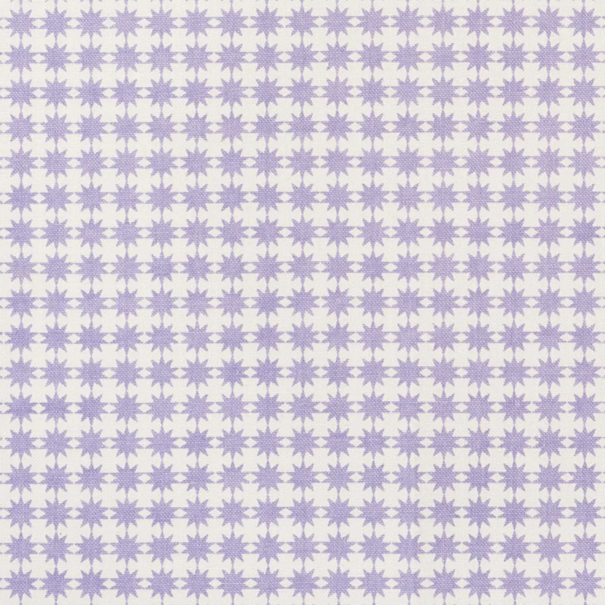STELLA_ LILAC