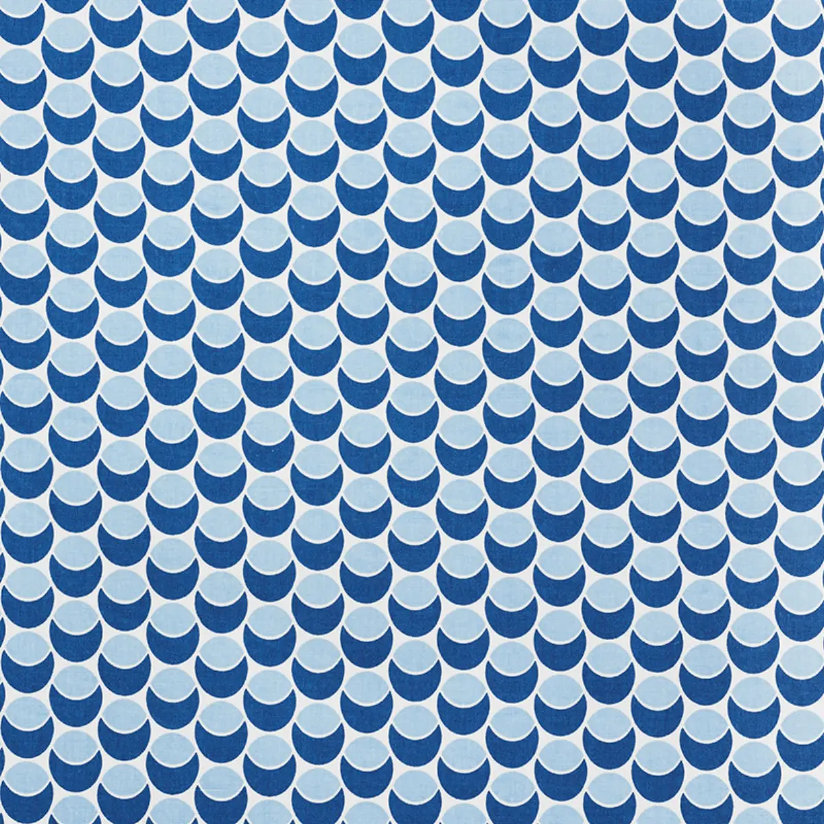 BUDS_ NAVY & SKY