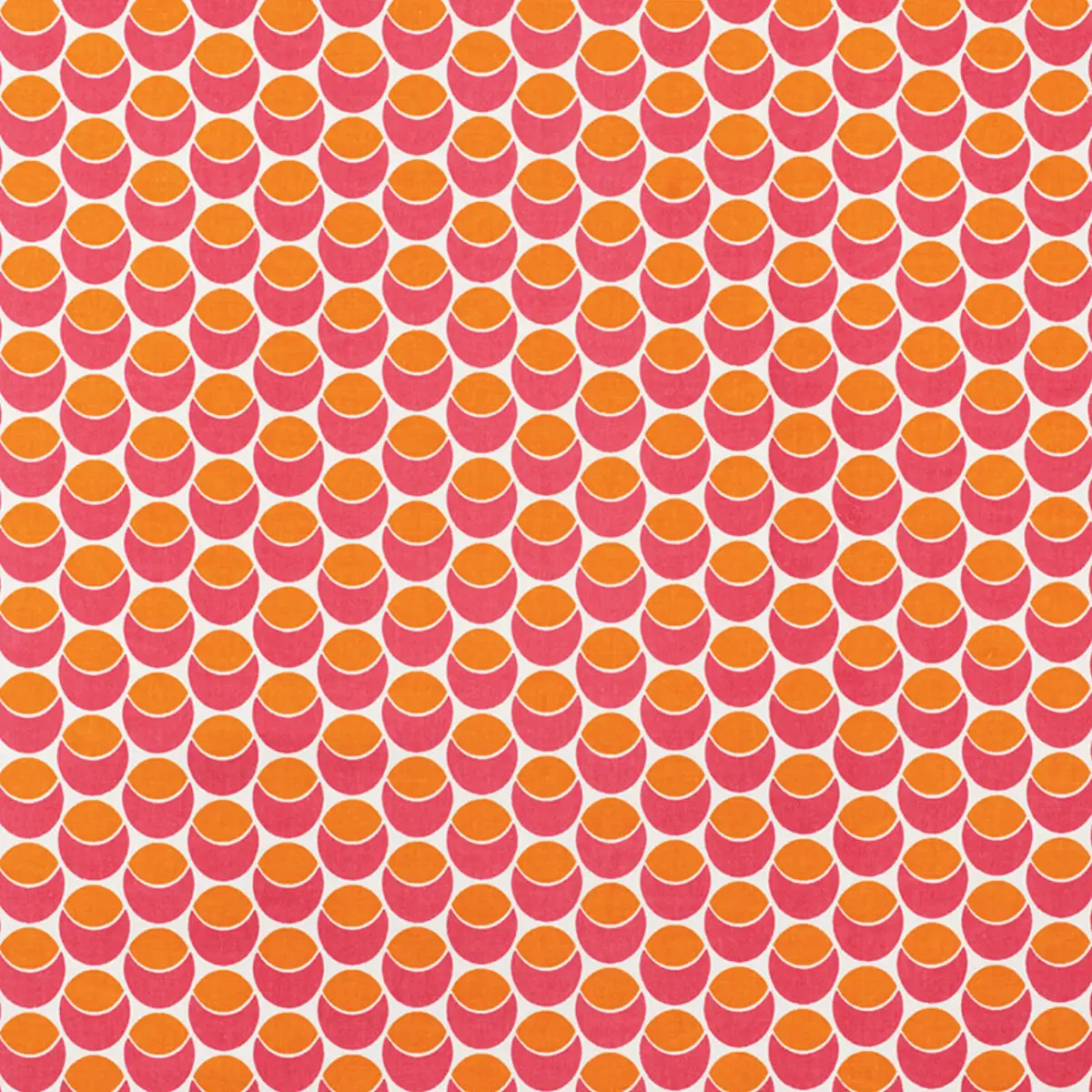 BUDS_ PINK & ORANGE