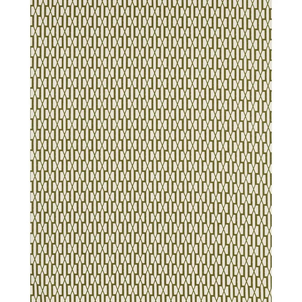 BELVEDERE_ OLIVE