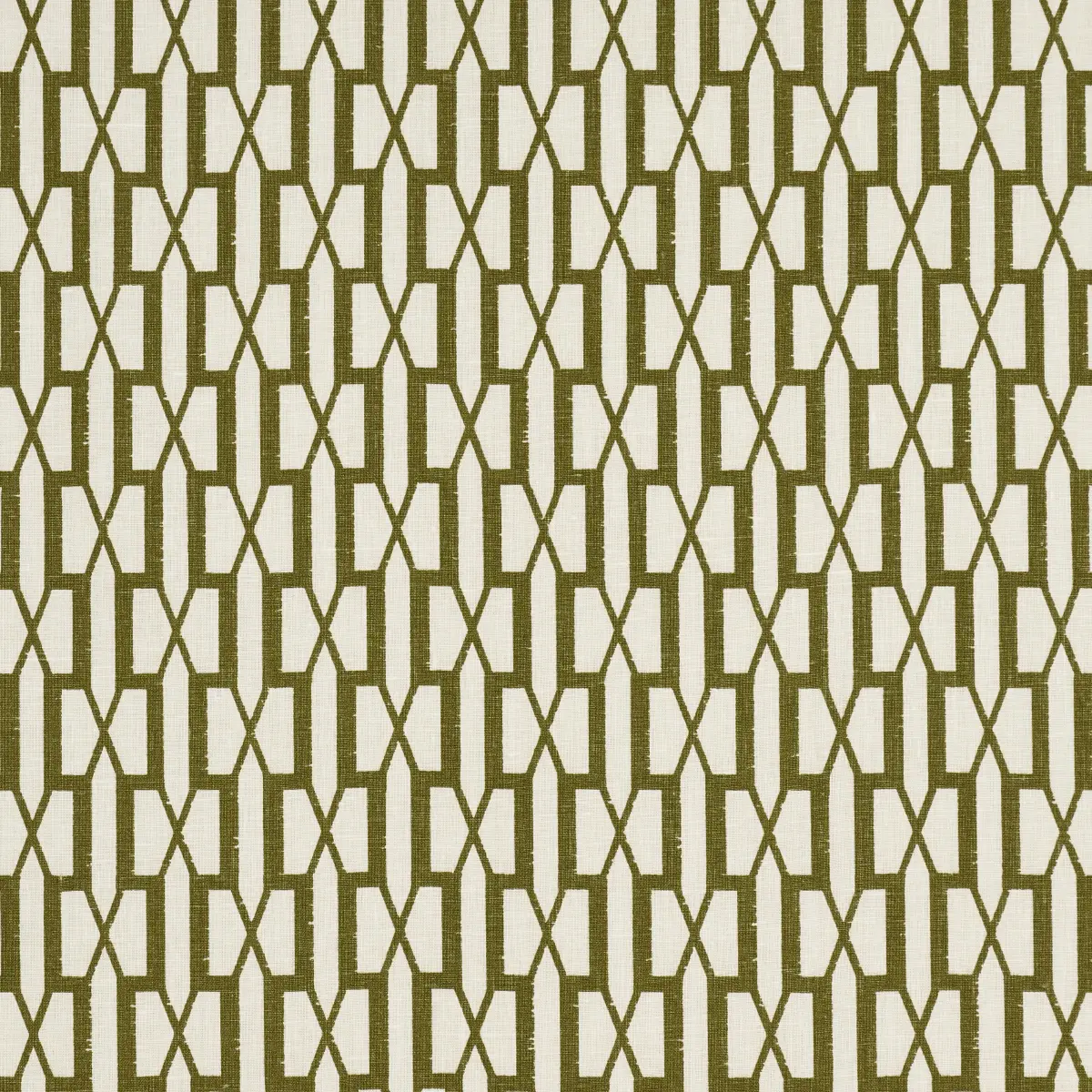 BELVEDERE_ OLIVE