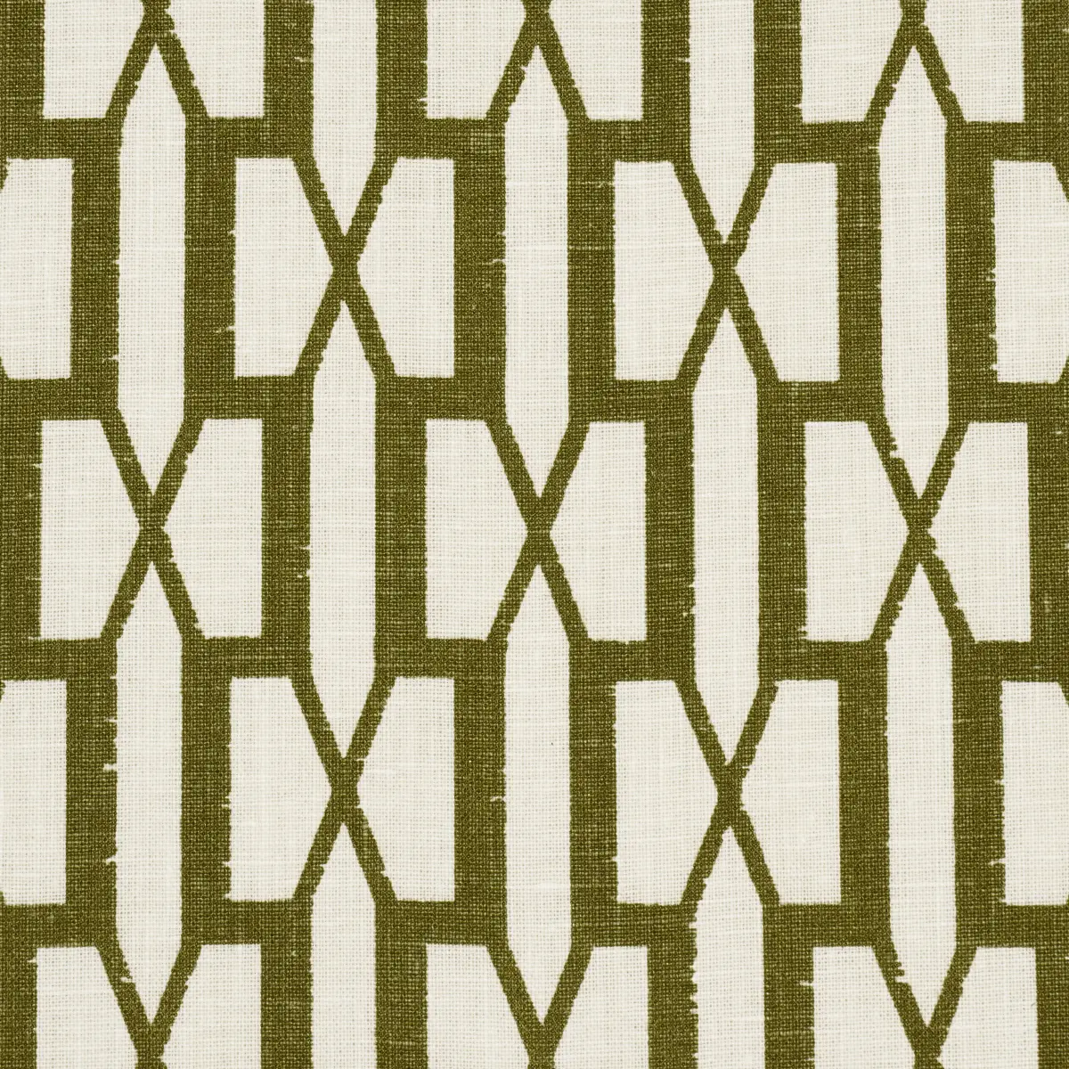 BELVEDERE_ OLIVE