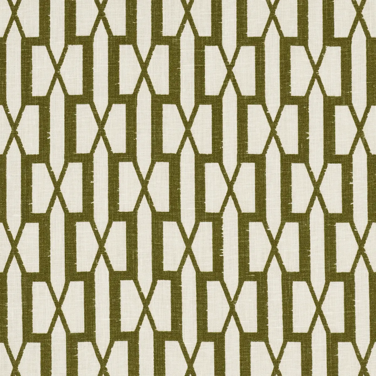 BELVEDERE_ OLIVE