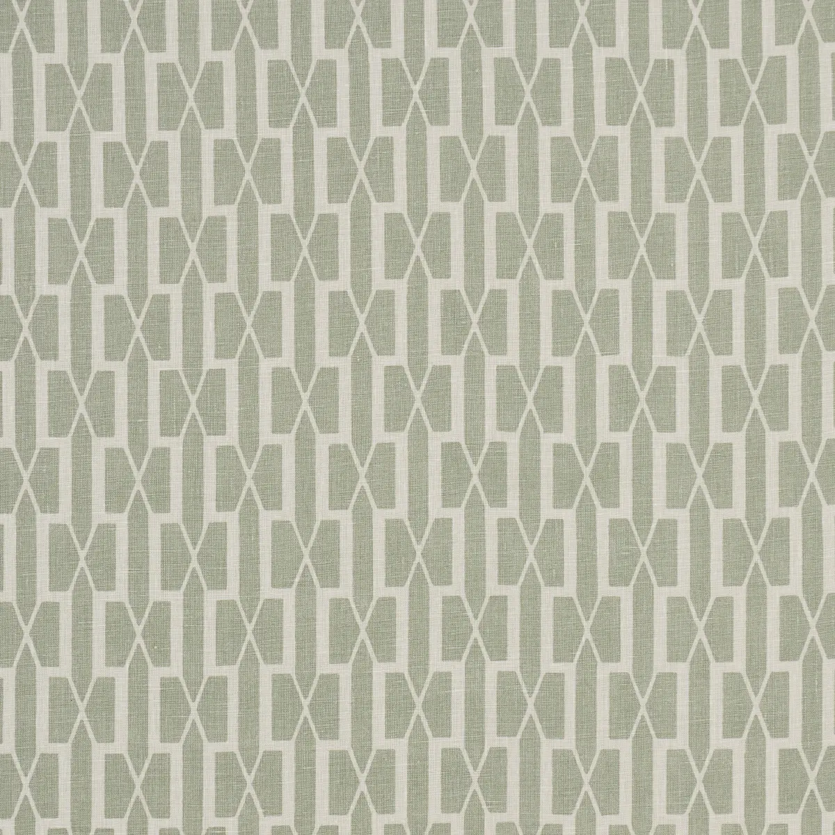 BELVEDERE_ CELADON