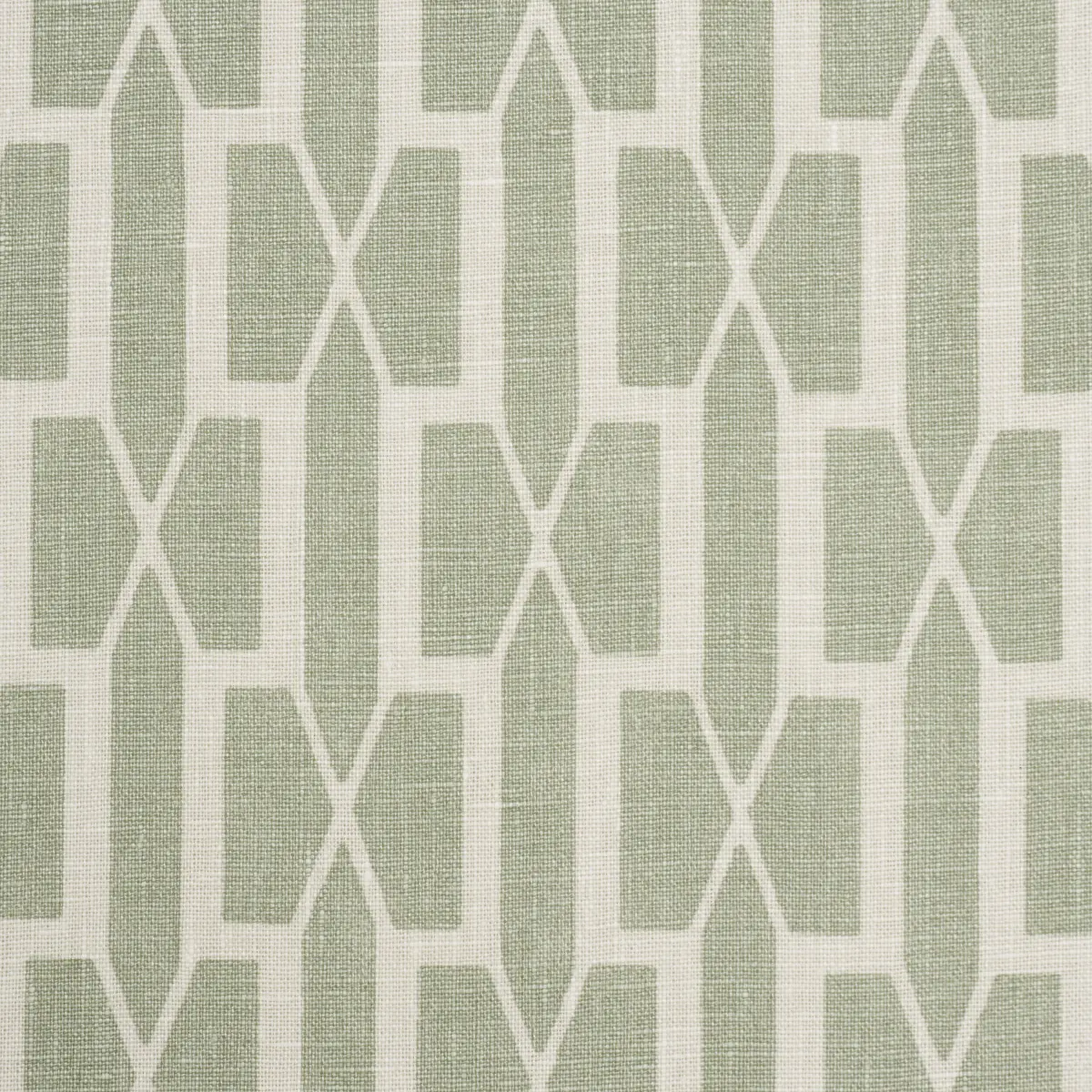 BELVEDERE_ CELADON
