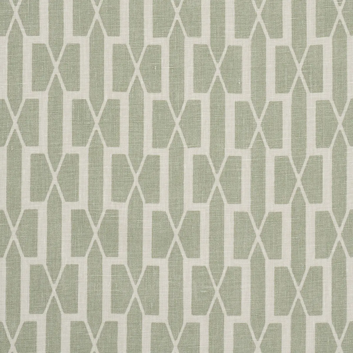 BELVEDERE_ CELADON