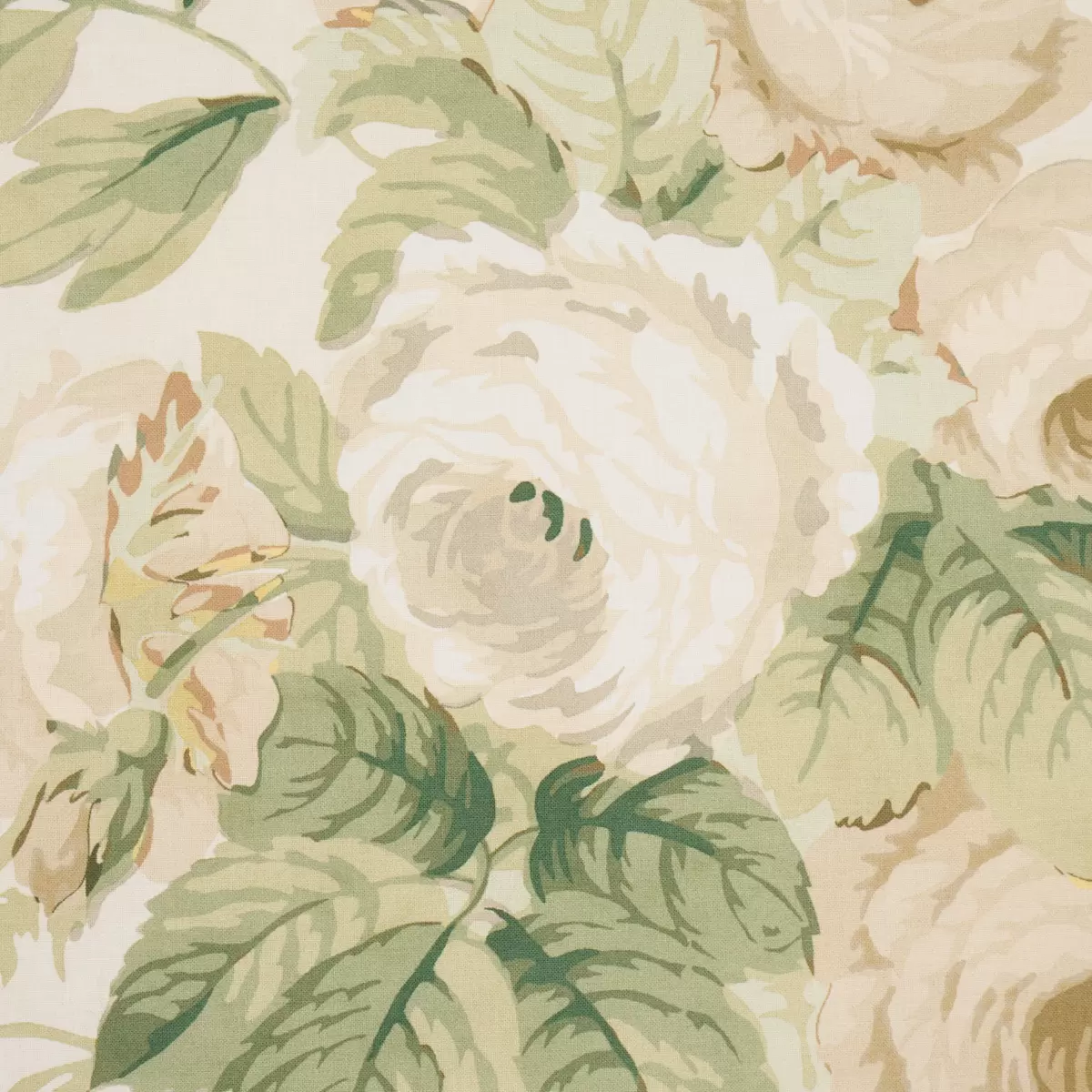 Nancy Floral_ IVORY