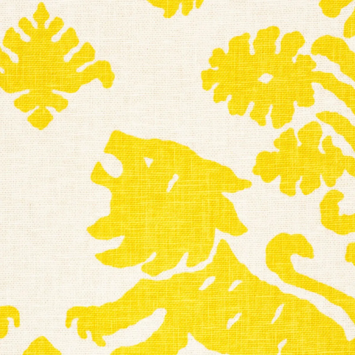 REGALIA_ YELLOW