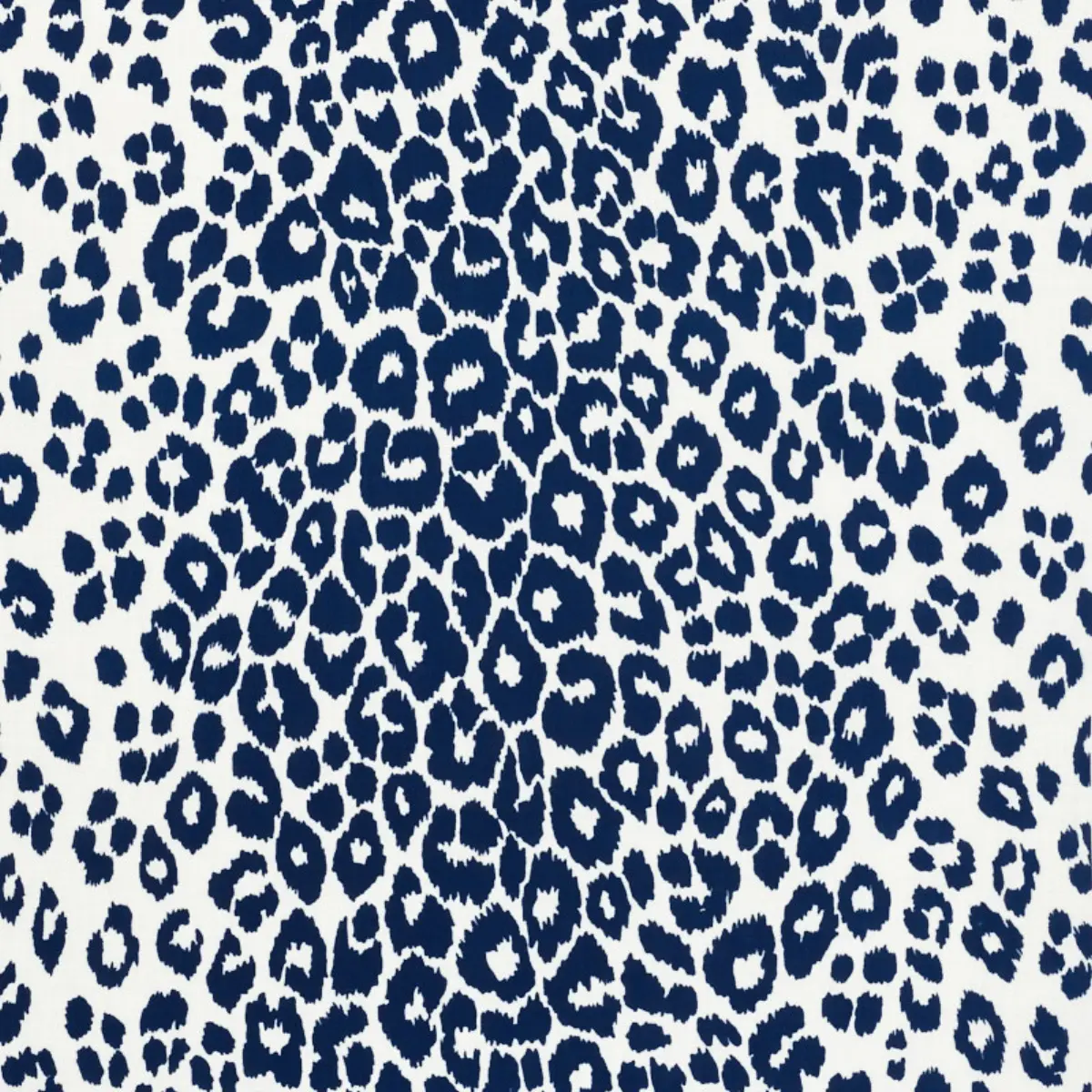 ICONIC LEOPARD INDOOR/OUTDOOR_ NAVY