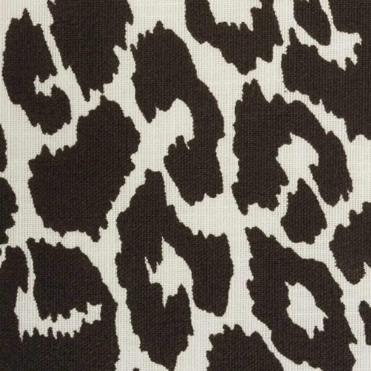 ICONIC LEOPARD INDOOR/OUTDOOR_ GRAPHITE