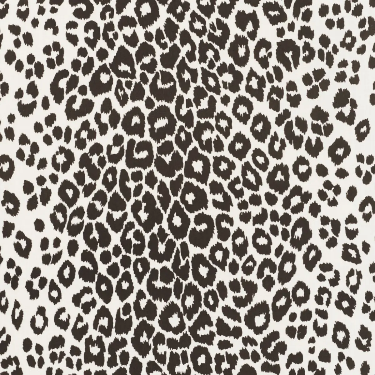ICONIC LEOPARD INDOOR/OUTDOOR_ GRAPHITE