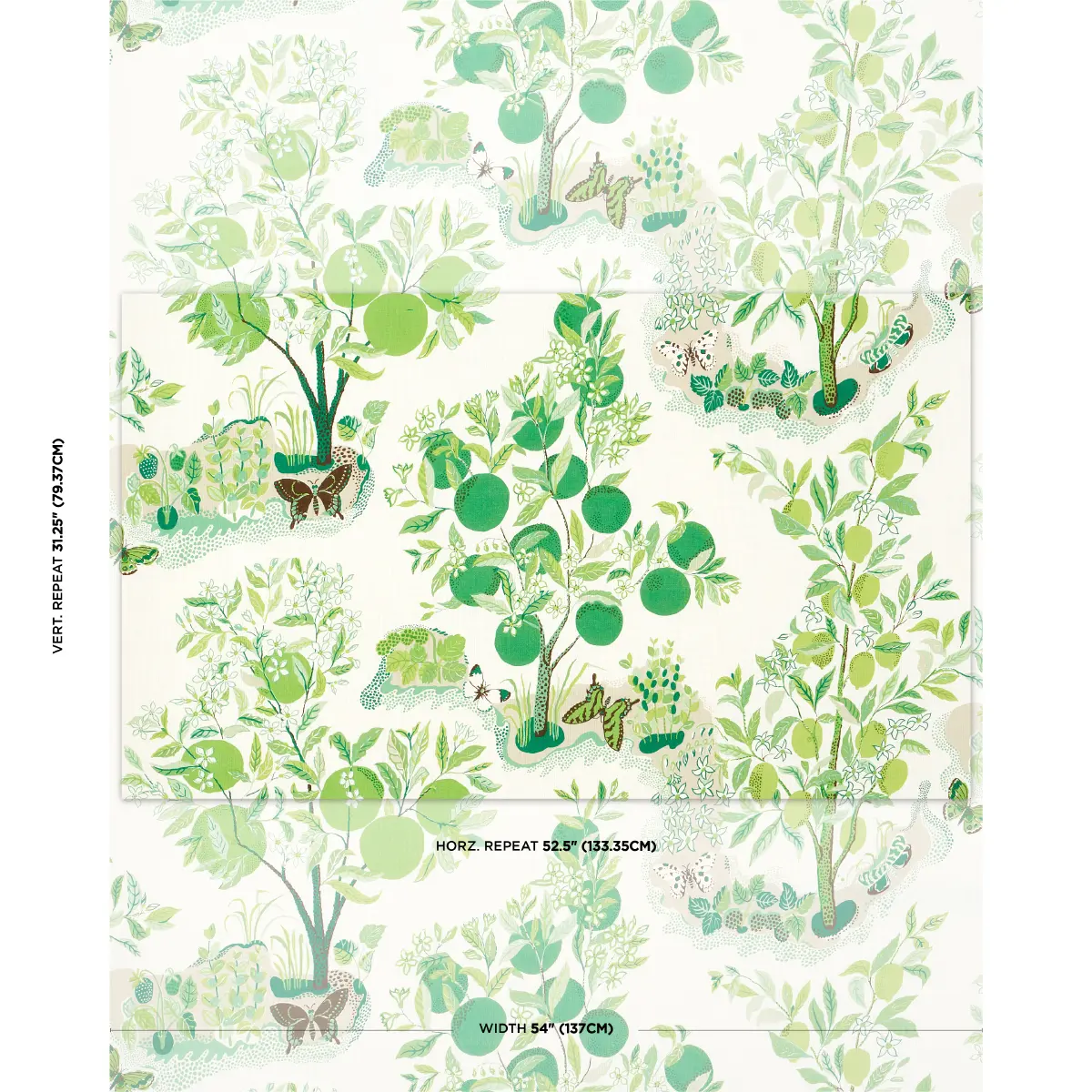 CITRUS GARDEN INDOOR/OUTDOOR_ LEAF
