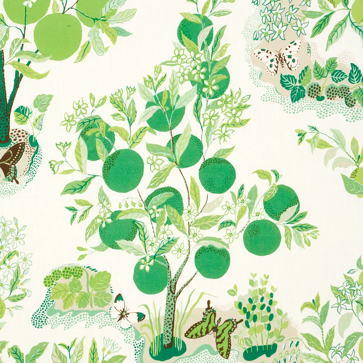 CITRUS GARDEN INDOOR/OUTDOOR_ LEAF