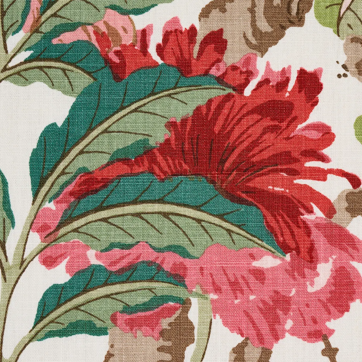 ENCHANTED GARDEN_ FUCHSIA