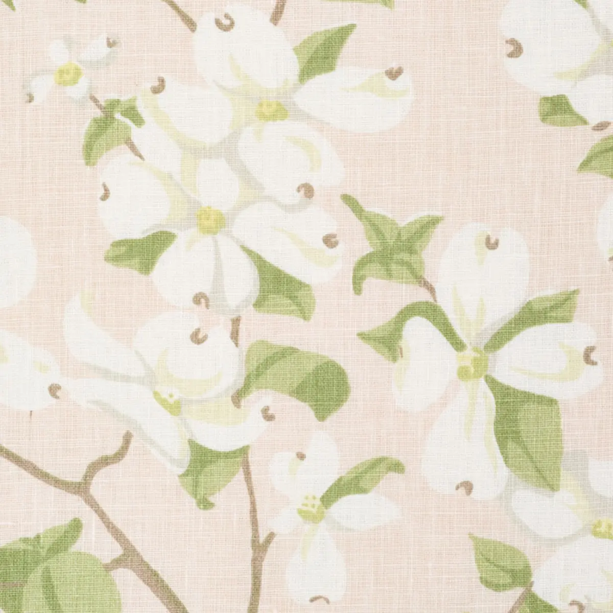 BLOOMING BRANCH_ BLUSH