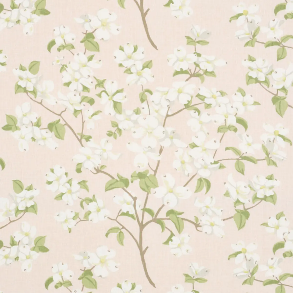 BLOOMING BRANCH_ BLUSH