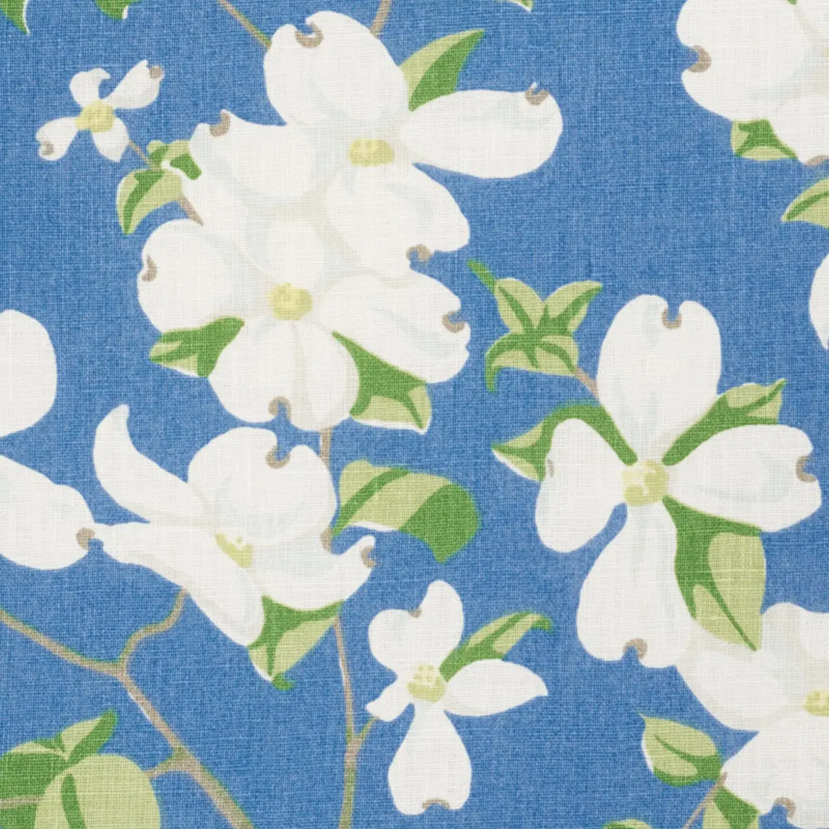 BLOOMING BRANCH_ BLUE