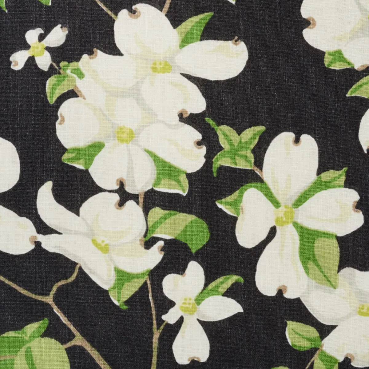 BLOOMING BRANCH_ BLACK