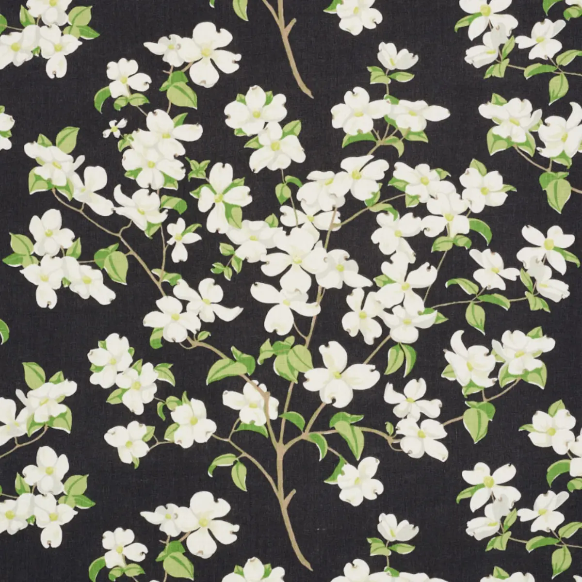BLOOMING BRANCH_ BLACK